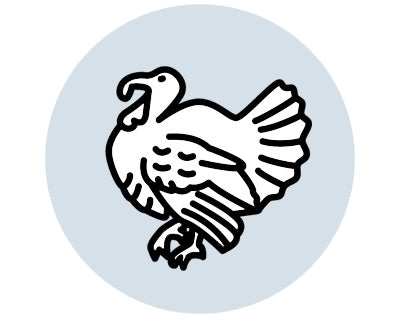 Thanksgiving Collection